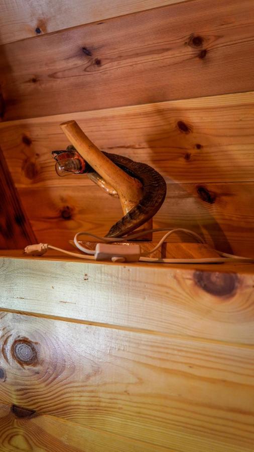 Willa Mountain House Drveni Raj Žabljak Zewnętrze zdjęcie