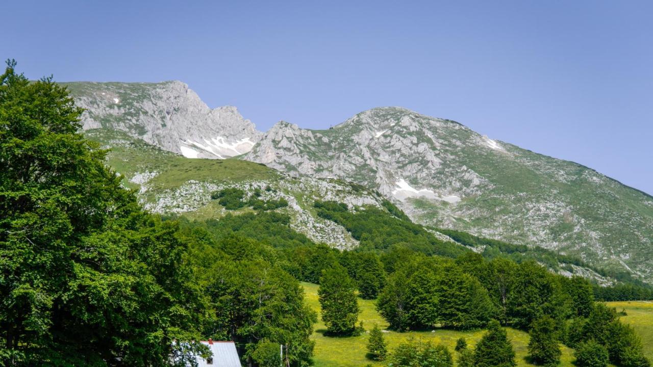 Willa Mountain House Drveni Raj Žabljak Zewnętrze zdjęcie