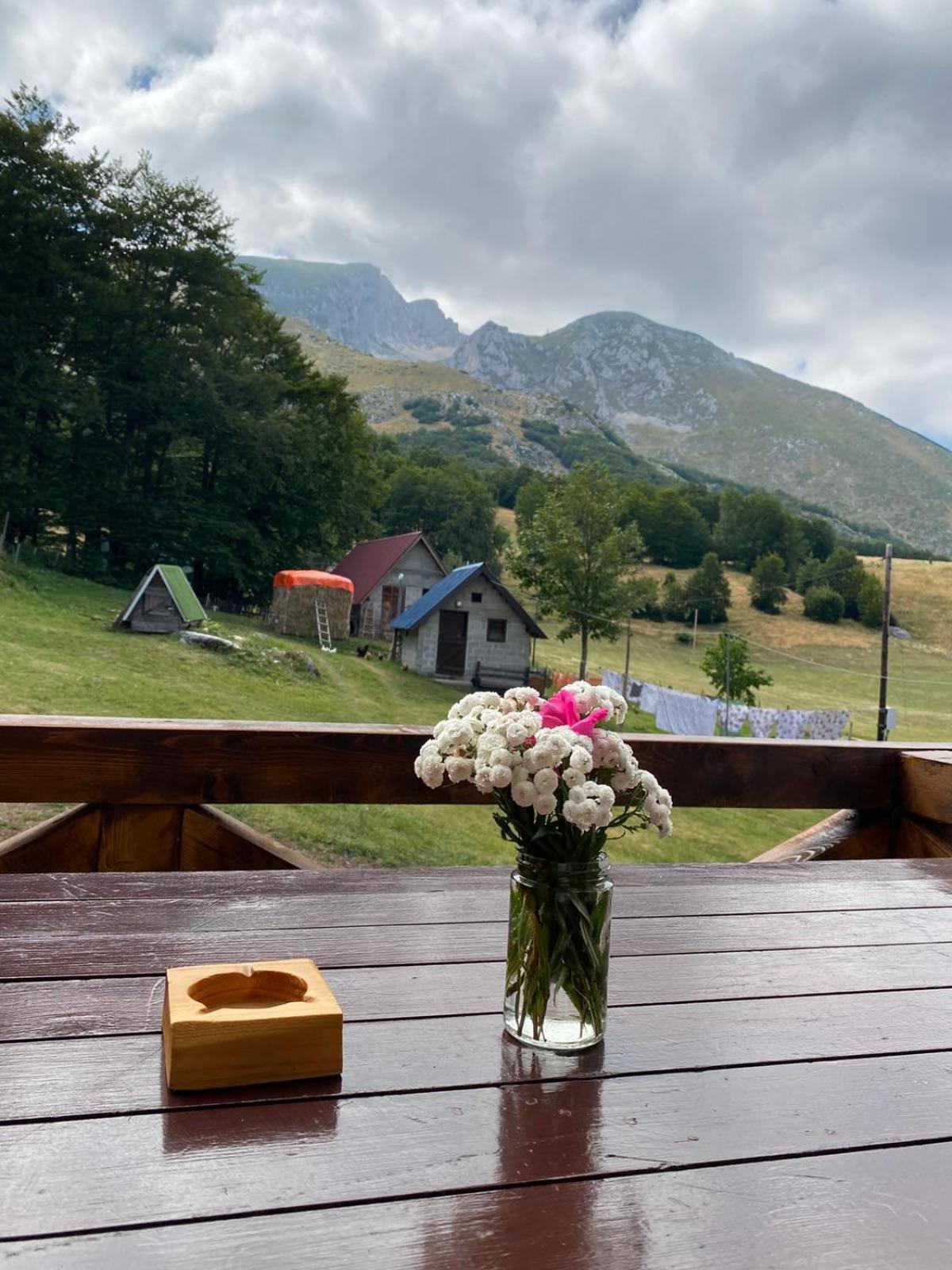 Willa Mountain House Drveni Raj Žabljak Zewnętrze zdjęcie